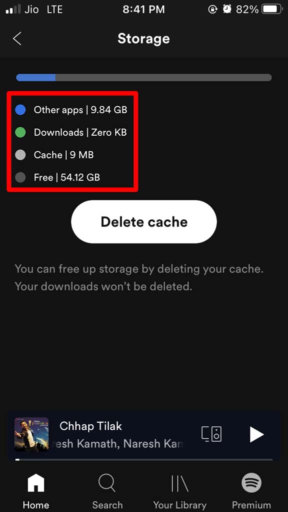 check iPhone storage from Spotify