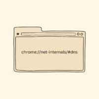 chrome://net-internals/#dns: Clear DNS Cache on Chrome 7