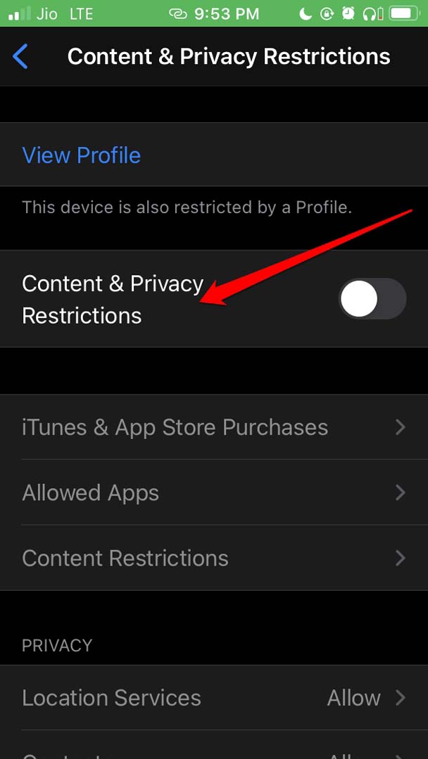 content and privacy restrictions disabled