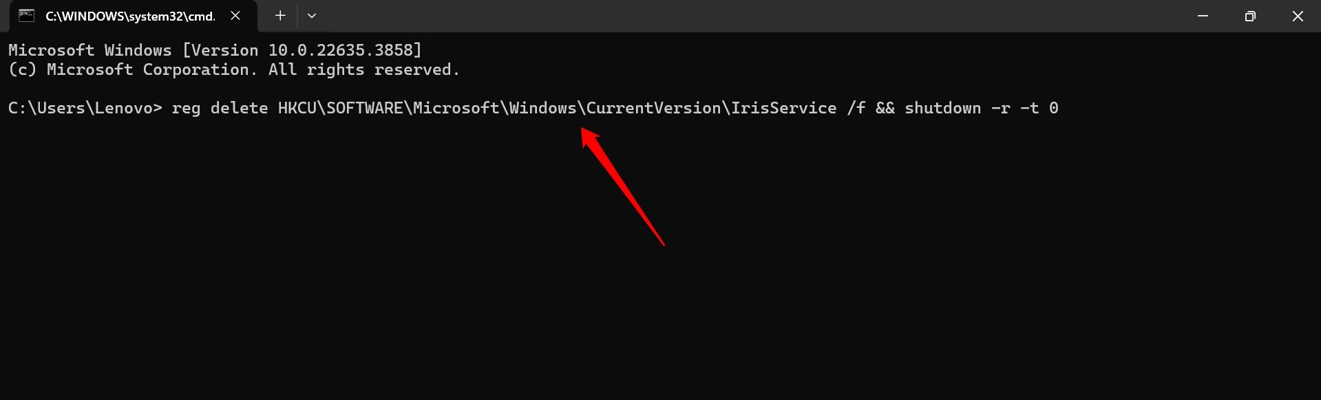 delete IRIS service configuration Windows 11