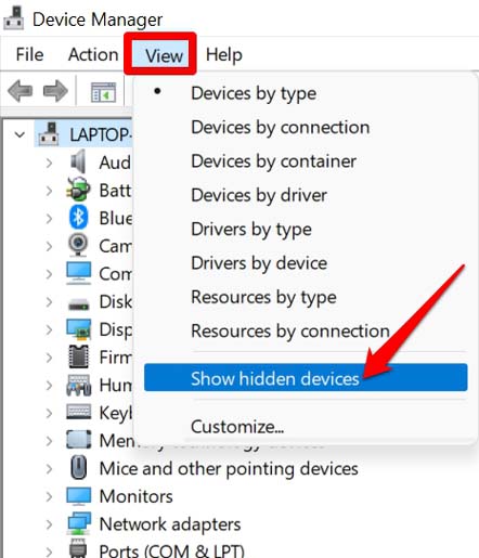 device manager show hidden devices