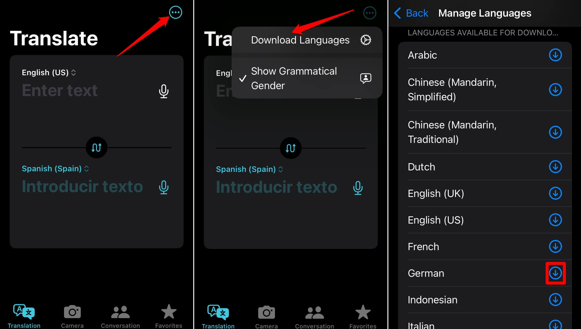 download language in the iOS translate app