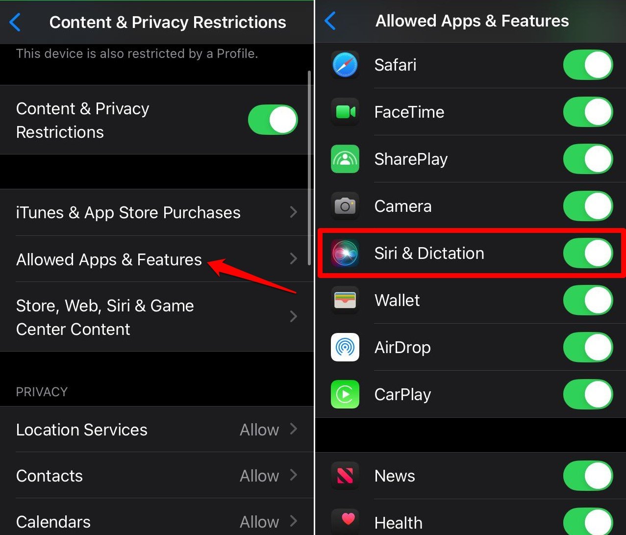 enable Siri and dictation in iOS 18