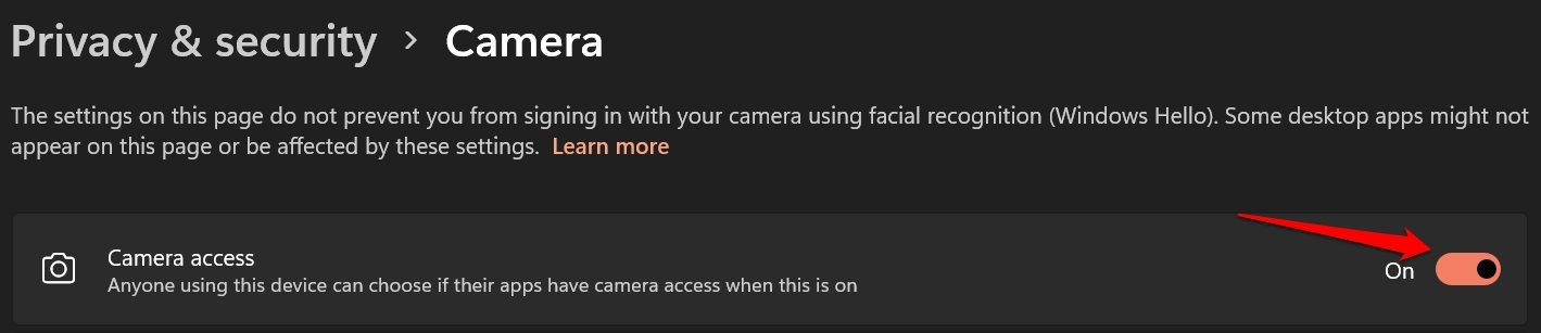 enable camera acess Windows OS