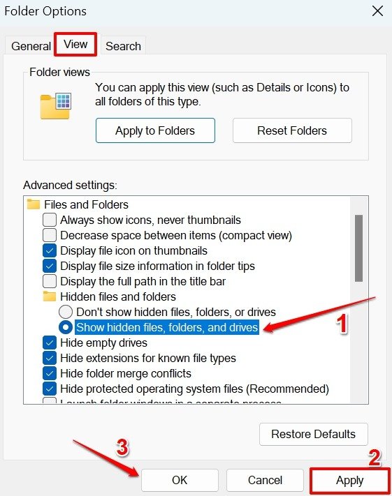 enable hidden files in file explorer Folder options