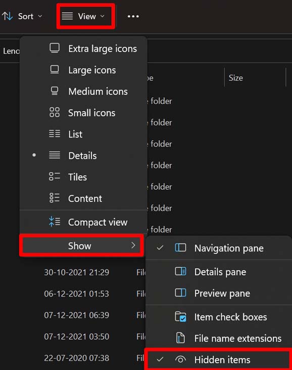 enable viewing hidden items on Windows PC