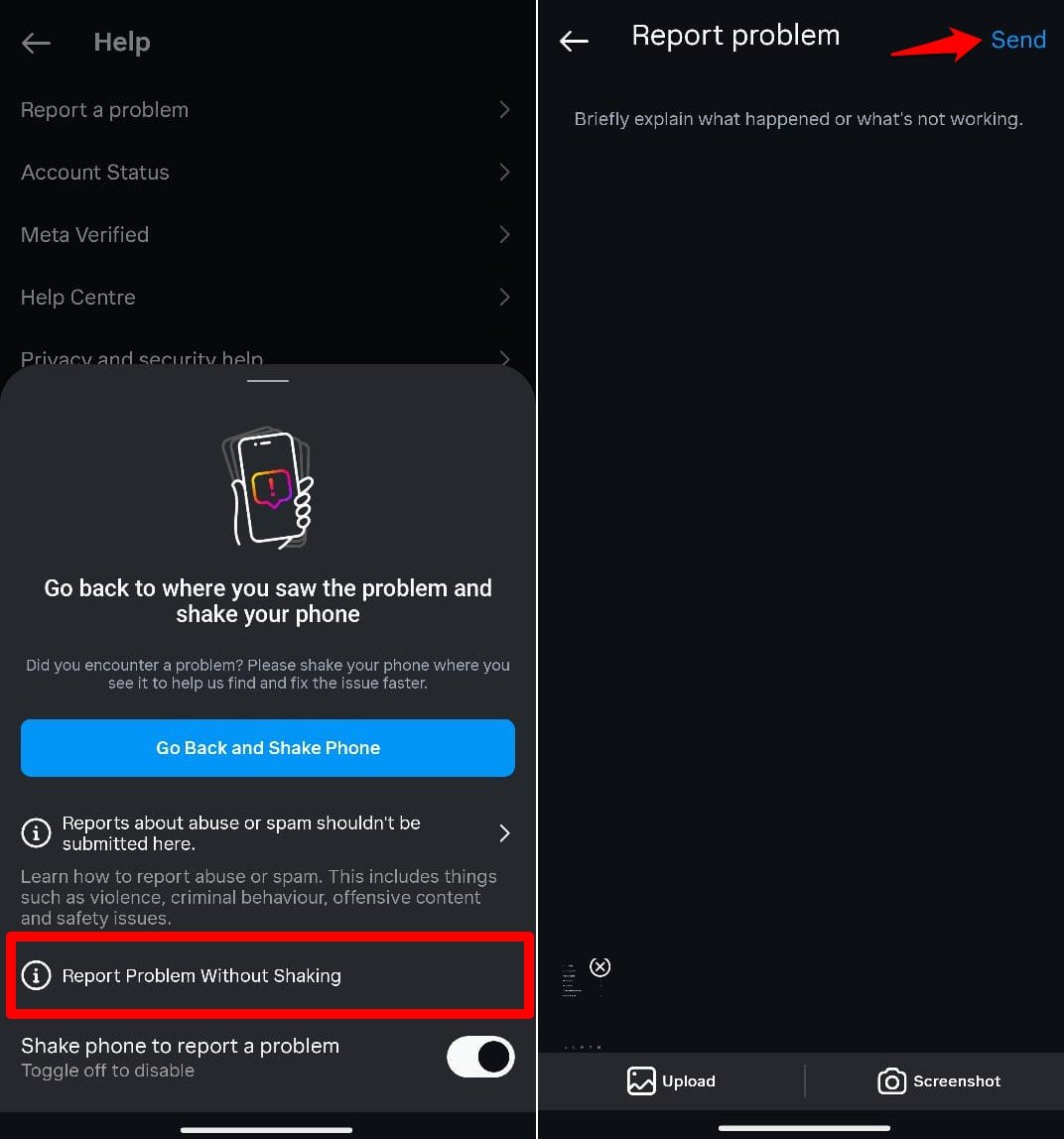 explain the instagram report