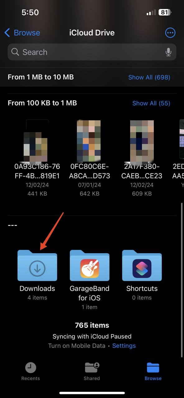 force-touch or tap & hold the Download folder