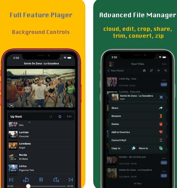 foxfm video downloader for iPhone