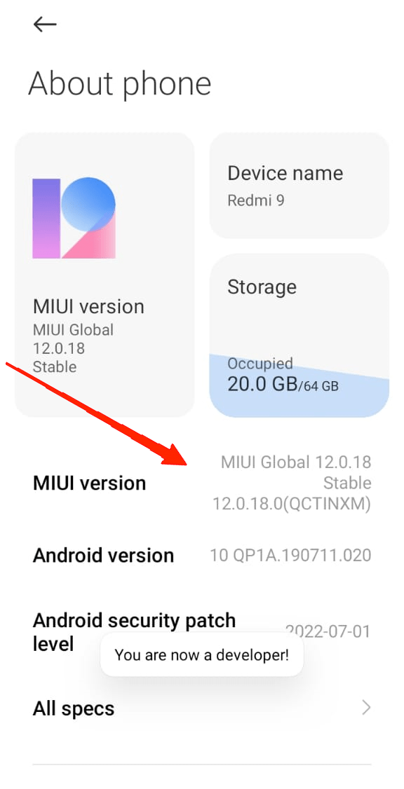 go to About Phone and tap 7 times on the MIUI version