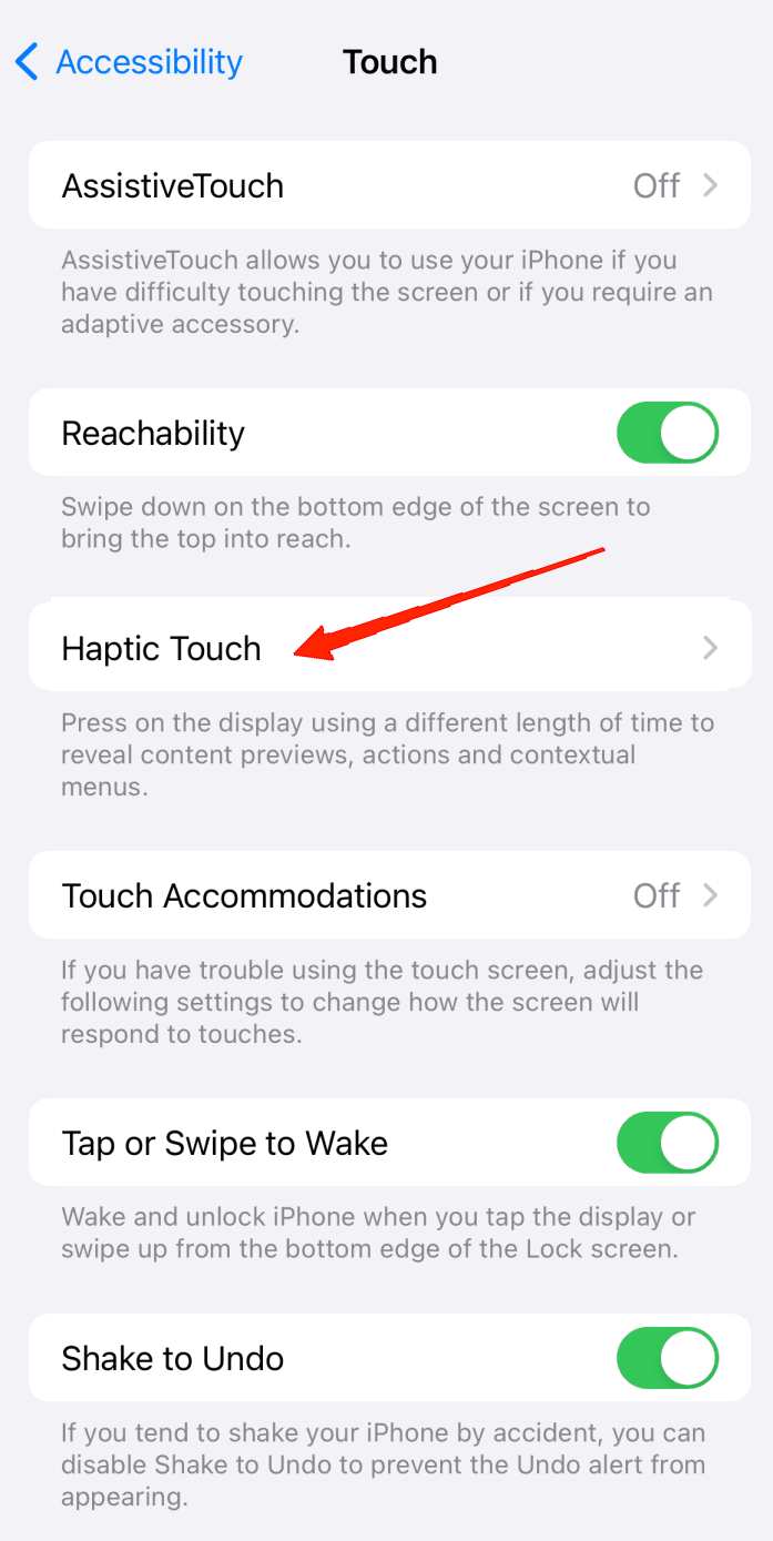 Now, tap on Haptic Touch.