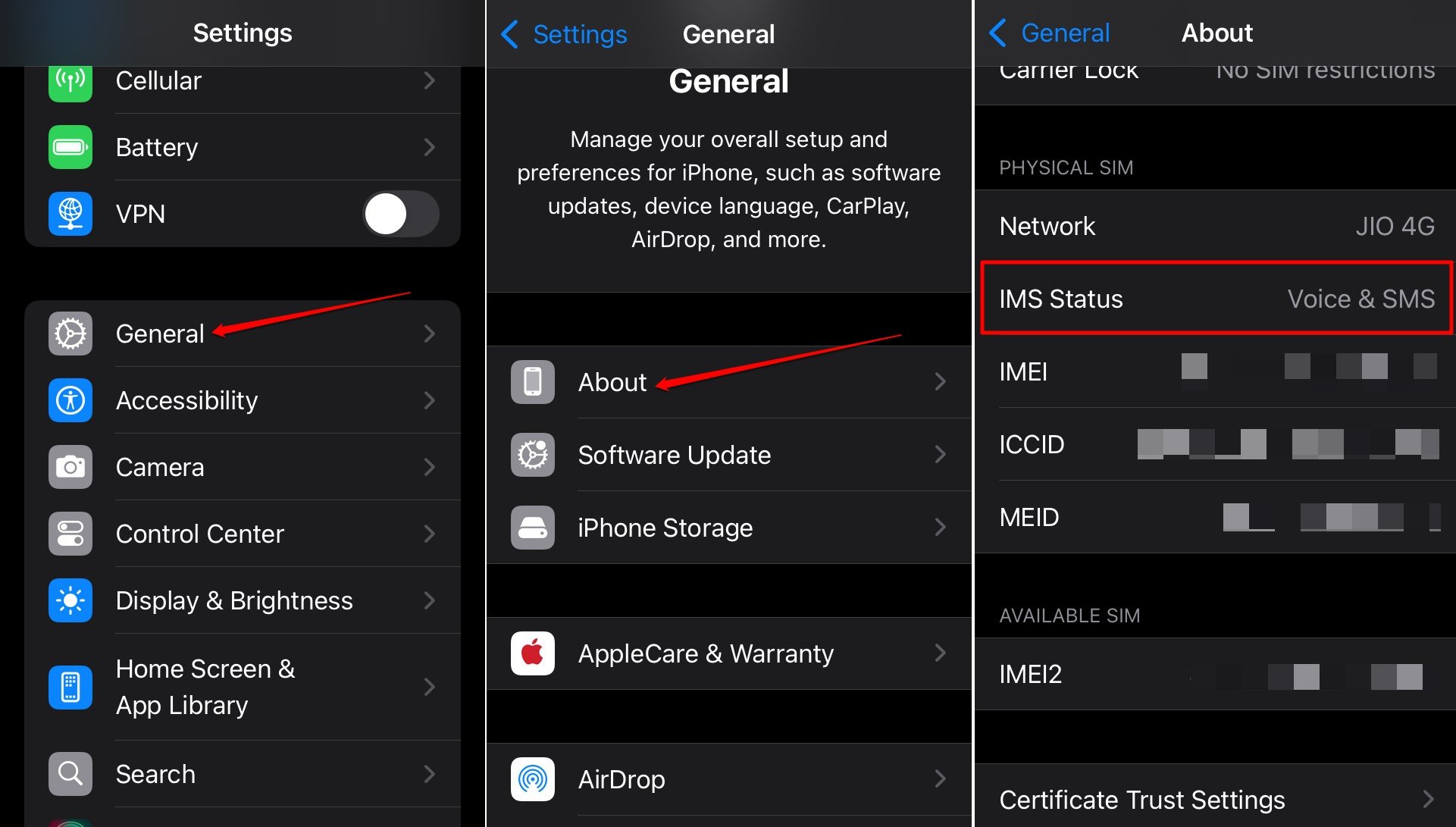 how to check if network provider supports RCS messaging