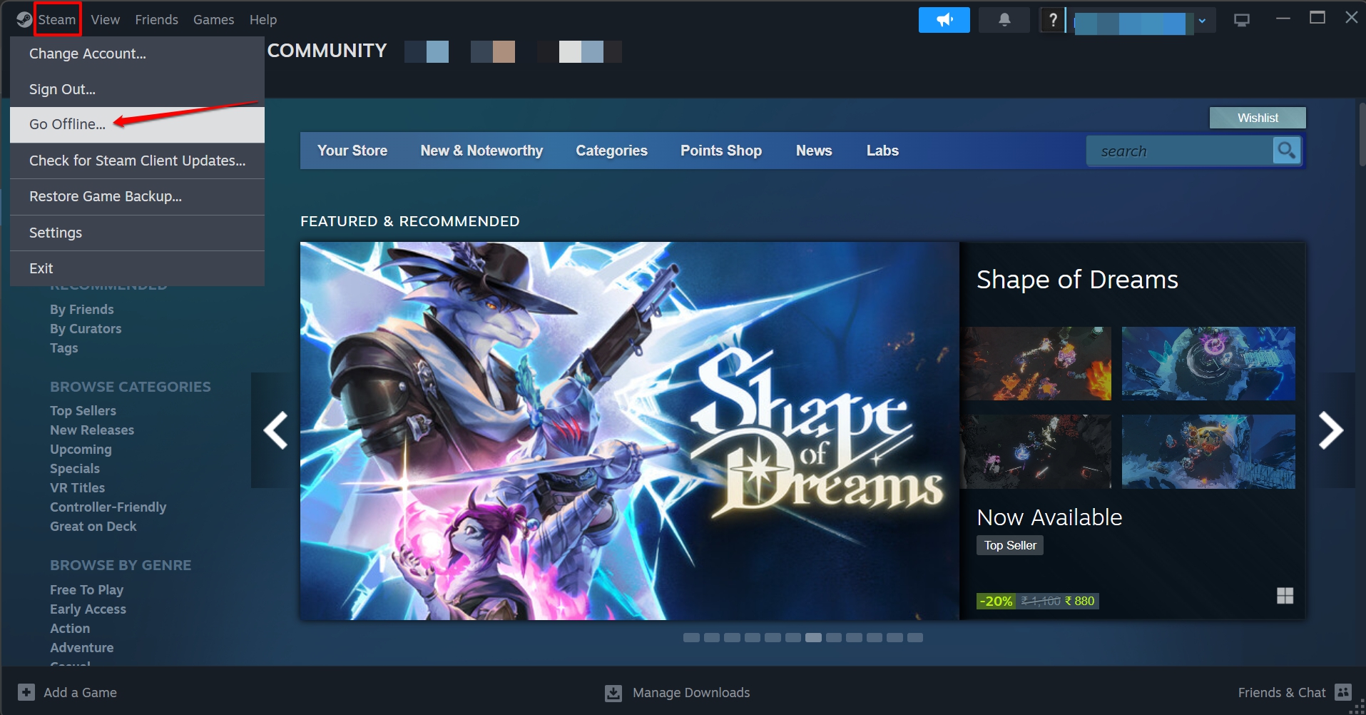 how to go offline on Steam