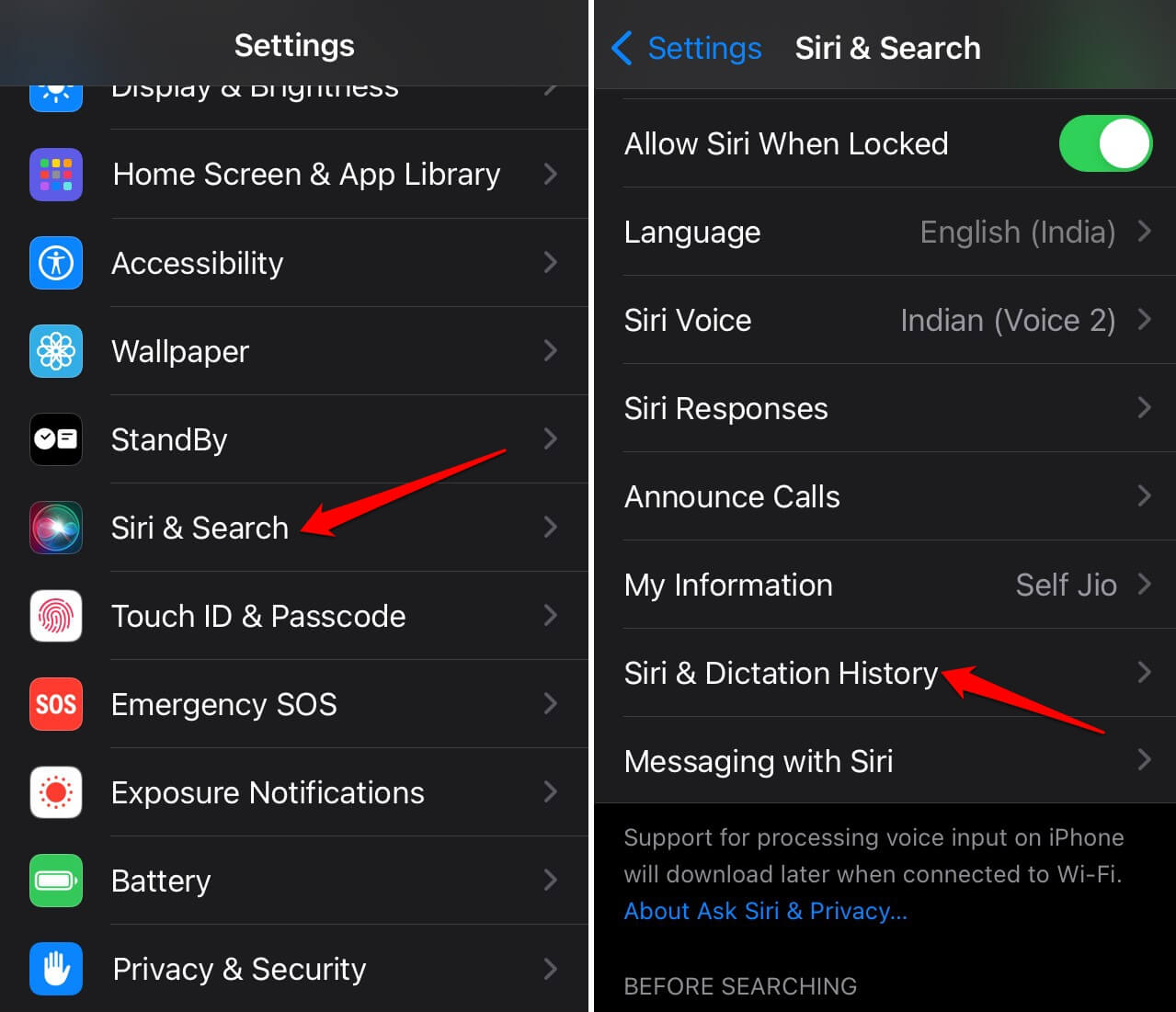 iOS Siri and search dictionary
