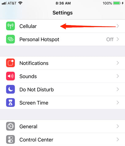 iphone cellular settings