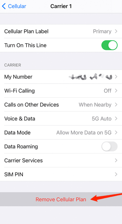 deleted cellular plan iphone