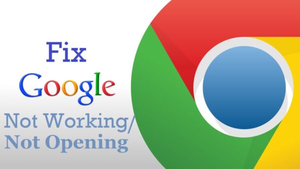 Google Search Not Working