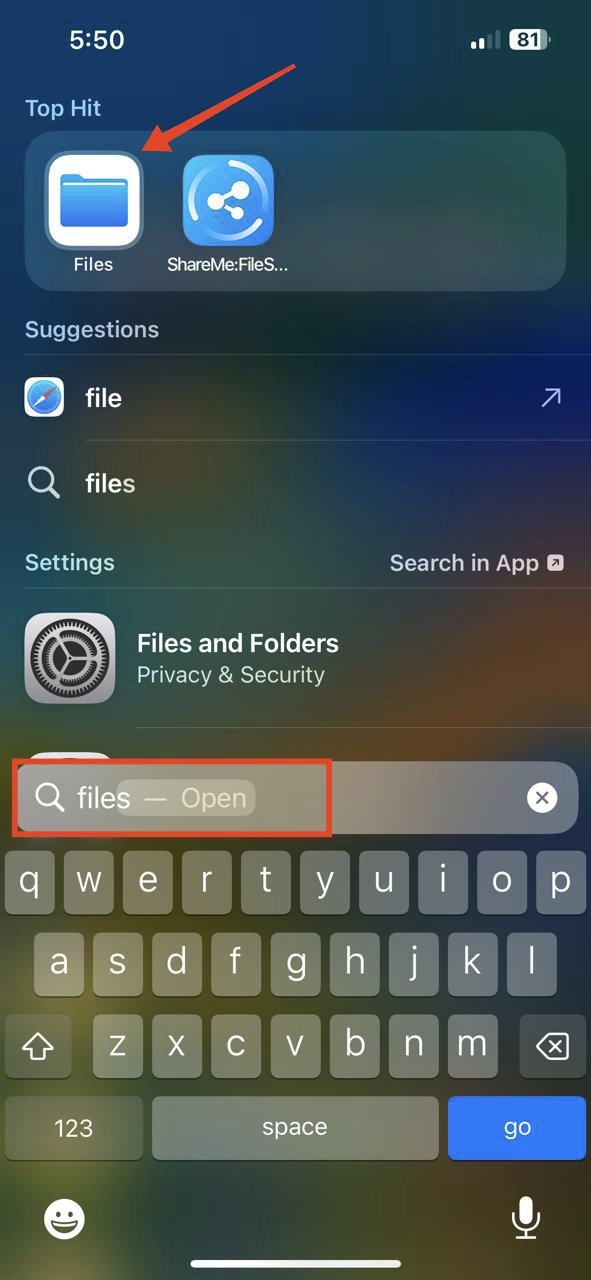 open the files app