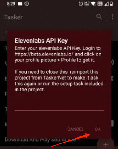 paste the Eleven Labs API key in the text area
