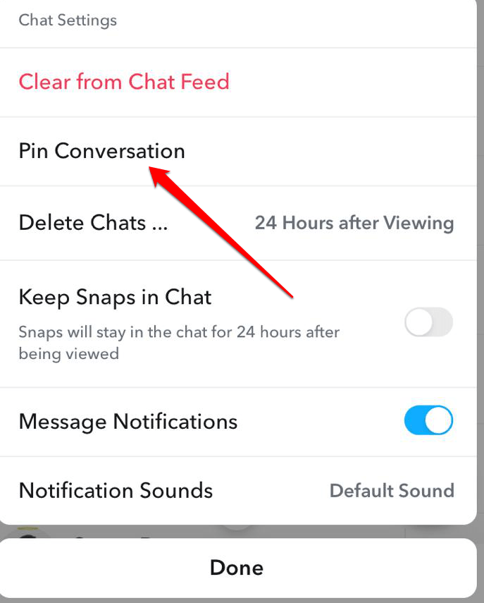 Pin Conversation option on the next screen