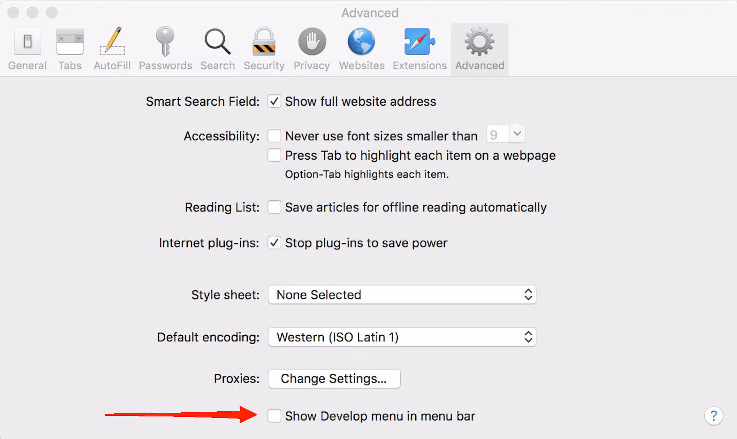 Now, click on the Advanced tab and check the "Show Develop menu in the menu bar" at the bottom.