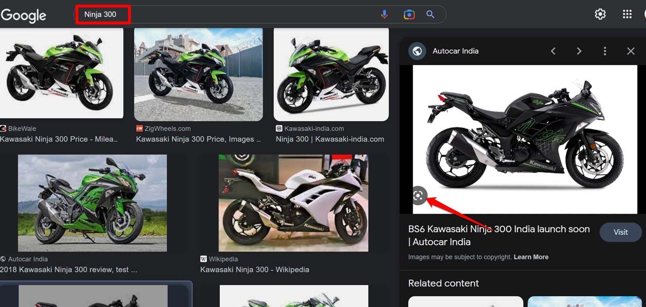 search image using Lens from Google Images