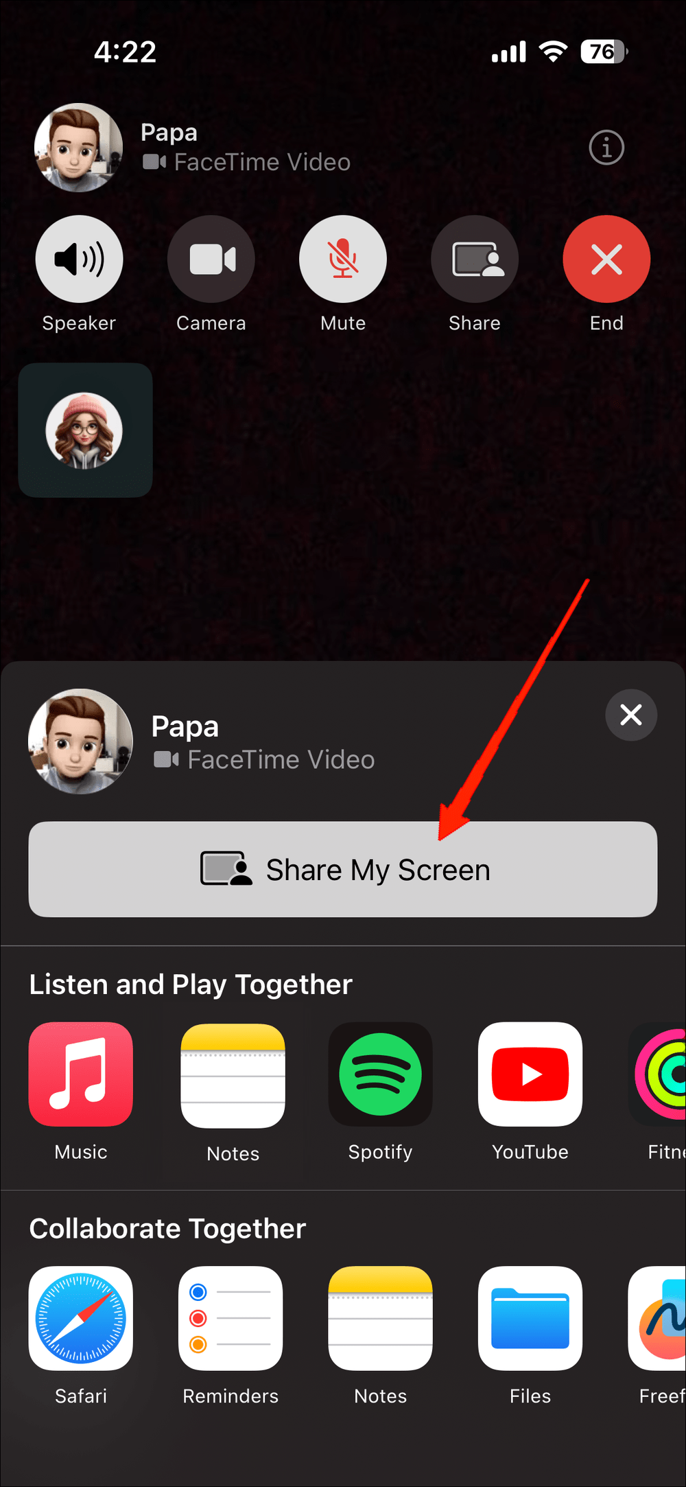 select 'Share My Screen'. This will initiate Screen Sharing in a couple of seconds.