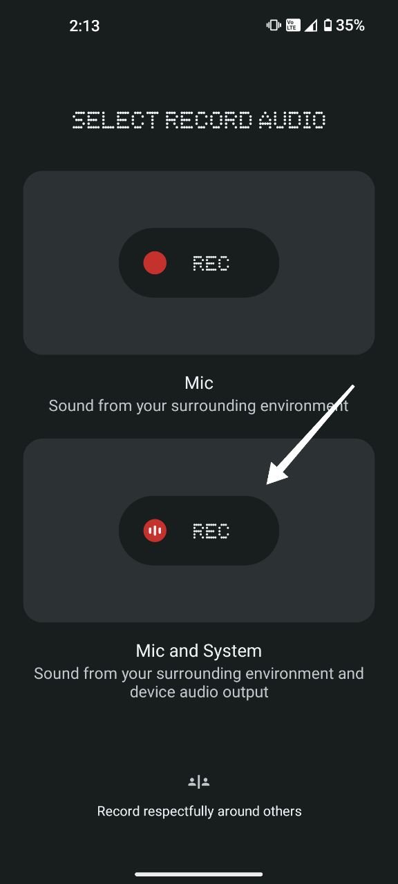 select mic and system