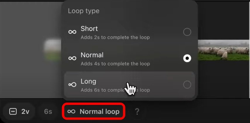 select the type of Loop on Sora