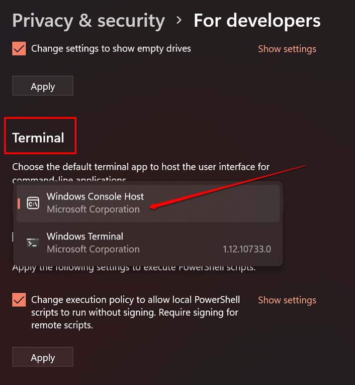 set default terminal app on Windows OS