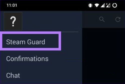 steaam guard option
