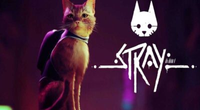 How To Fix Stray Low Level Fatal Error