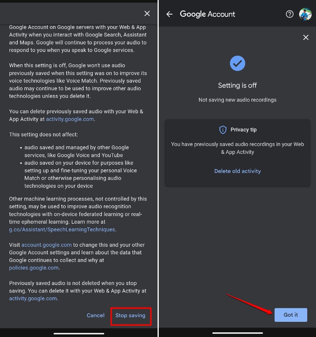 turn off audio and voice activity on Google app