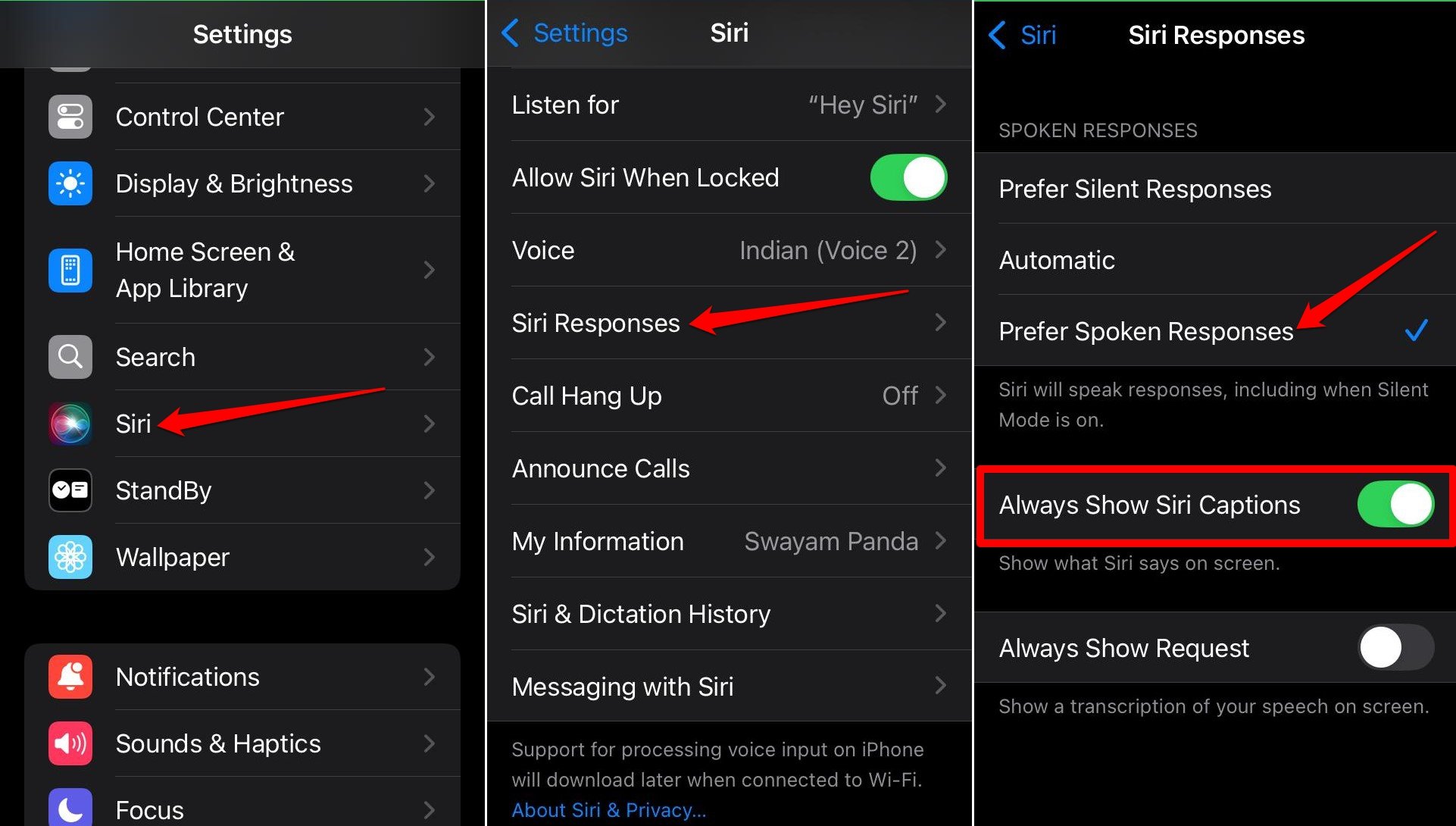 turn on spoken responses from Siri on iPhone