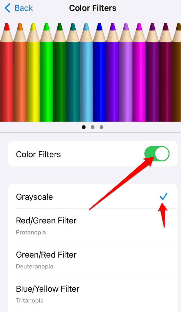 Under the "Colour Filters" section, toggle on the "Colour Filters" switch > Grayscale