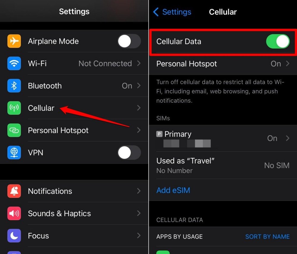 use iPhone cellular data