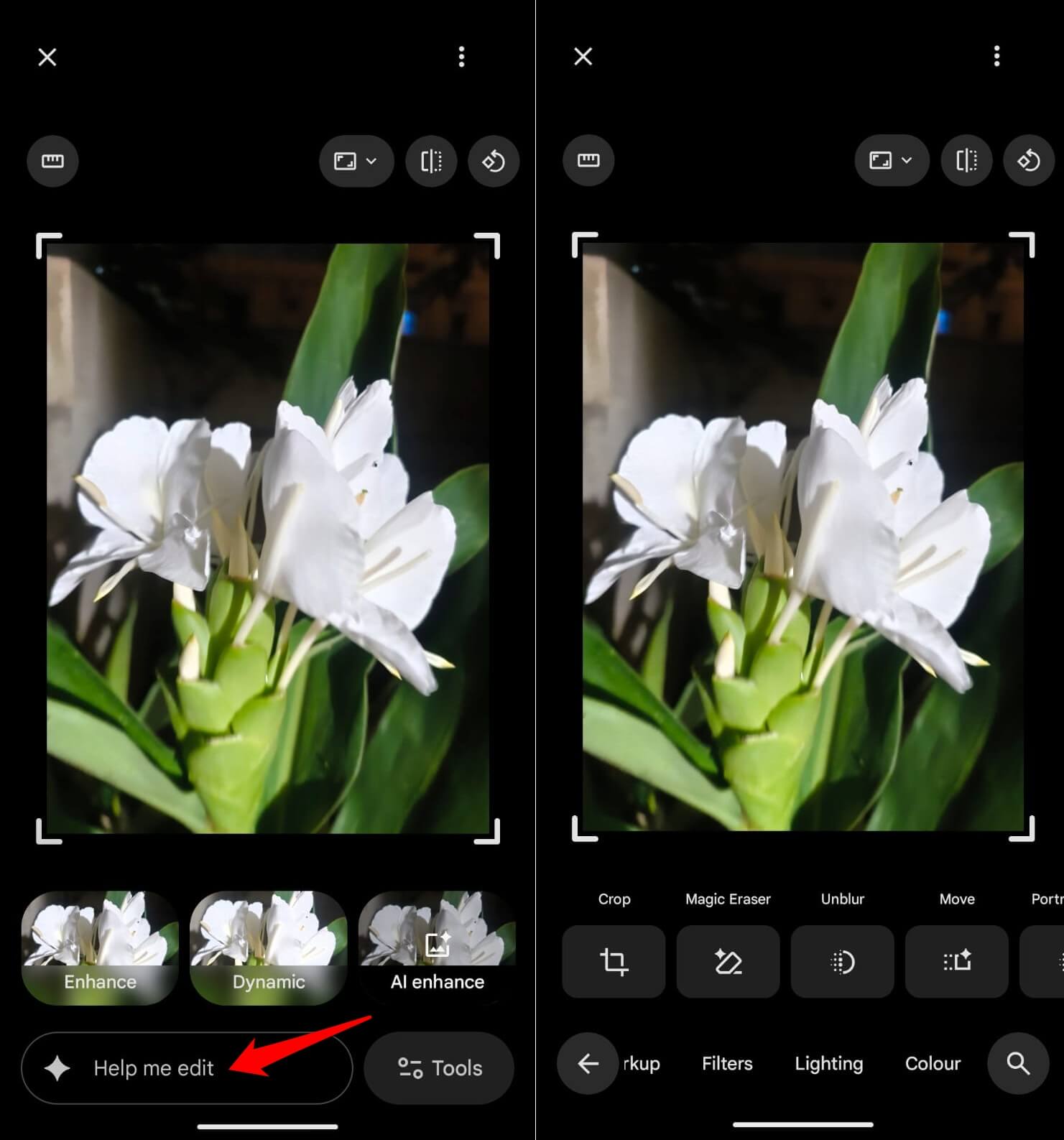 using Gemini AI in Google Photos