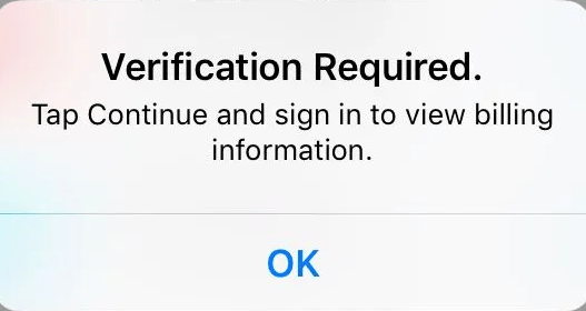 How to Fix Verification Required Error on iPhone in 2023  - 94