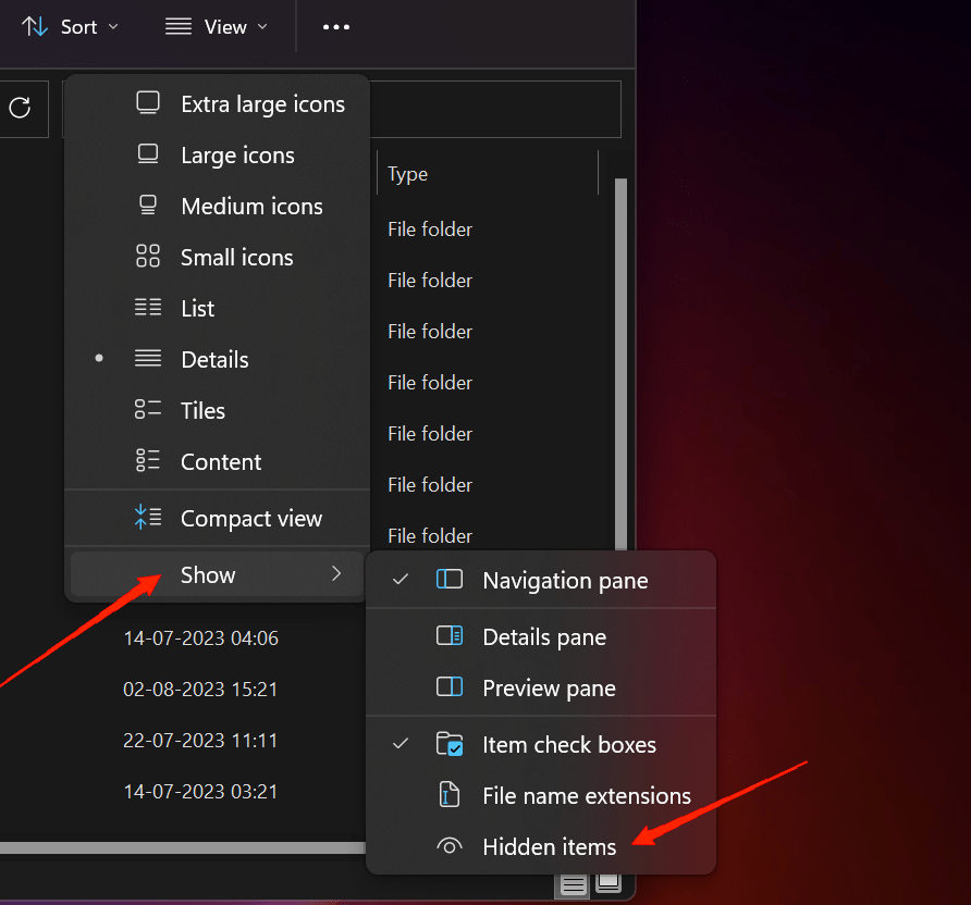 enable the Hidden option to view all the hidden files and folders