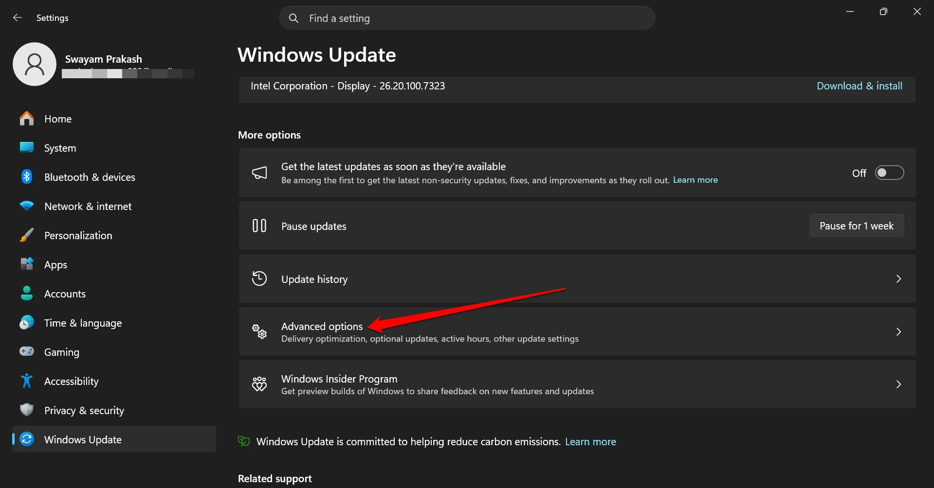 windows 11 advanced options